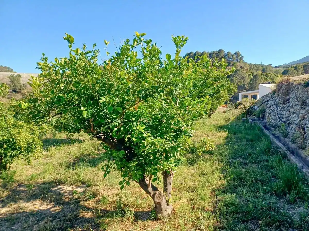 Finca rústica en venta en Polop