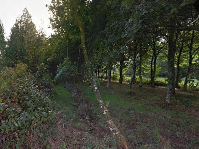 Terreno en Venta en Abegondo
