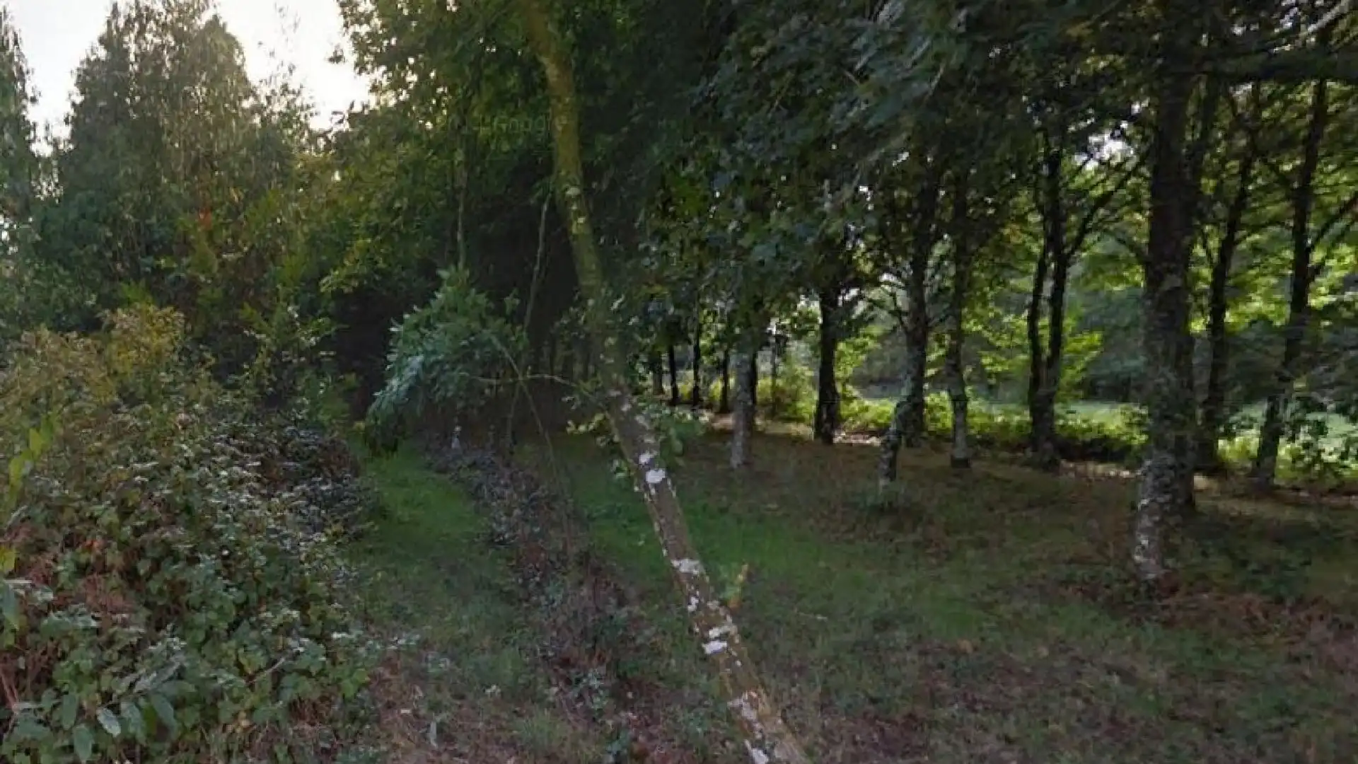 Terreno en venta en Abegondo