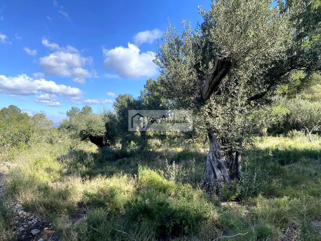 Terreny rústic en venda a Bítem, imagen 18