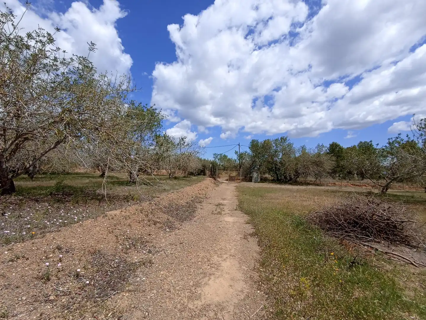 Rural land for sale in Carretera, imagen 9