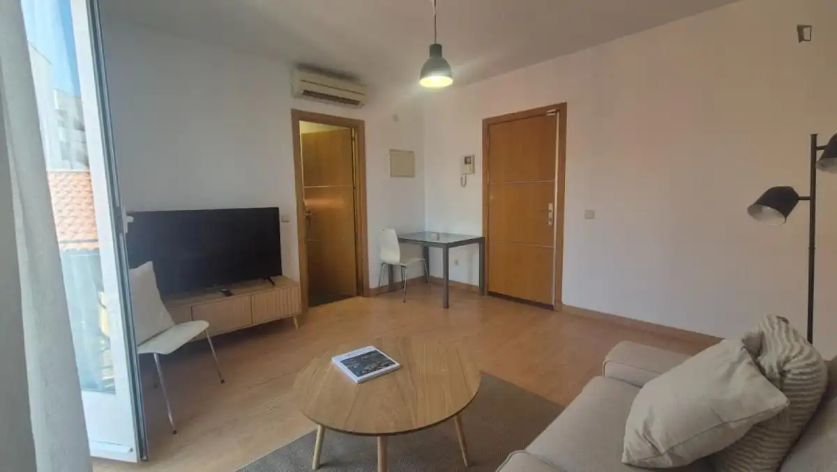 Living room of Apartments for rent in Madrid  with Air Conditioner, Heating and Furnished