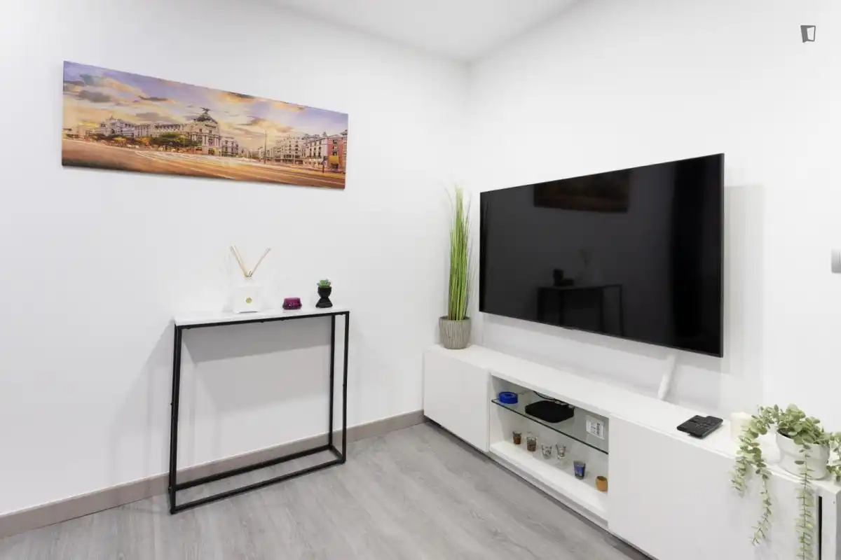 Living room of Apartments for rent in Madrid  with Heating, Furnished and Oven