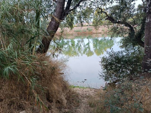 Terreno en Venta en Avinguda Generalitat, 42 en Tivenys