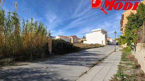 Finca rustica con 1.249 metros de parcela. En la periferia del pueblo, concretamente en la zona de la fuente de la salud. La finca