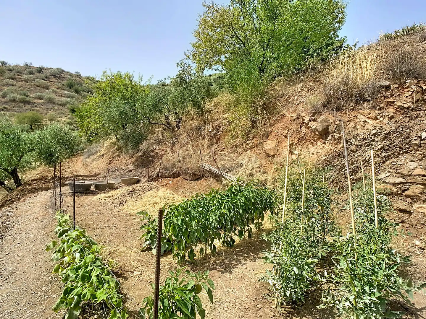 Houses for sale in Málaga  with Storage room