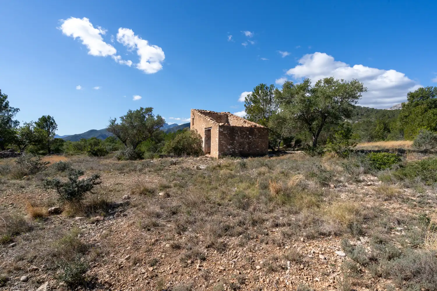 Terrain rustique à vendre à Xerta, imagen 47