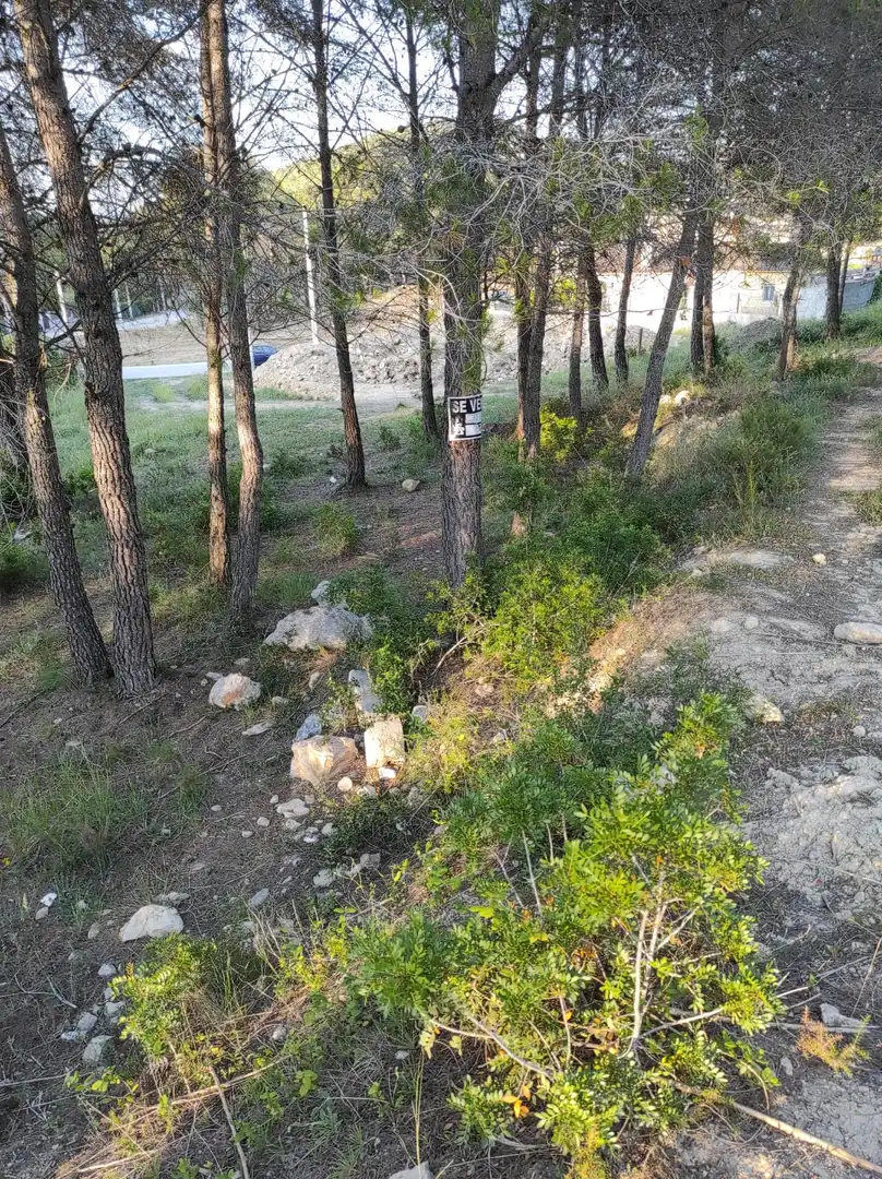 Terreno residencial en venta en Canyelles, imagen 8