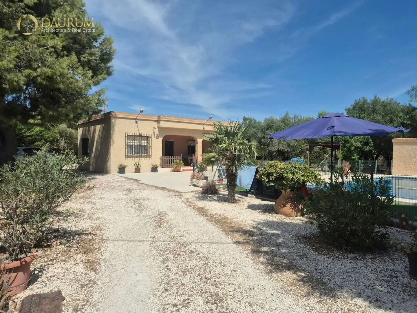 Vista exterior de Casa o chalet en venta en Elche / Elx con Aire acondicionado, Terraza y Piscina