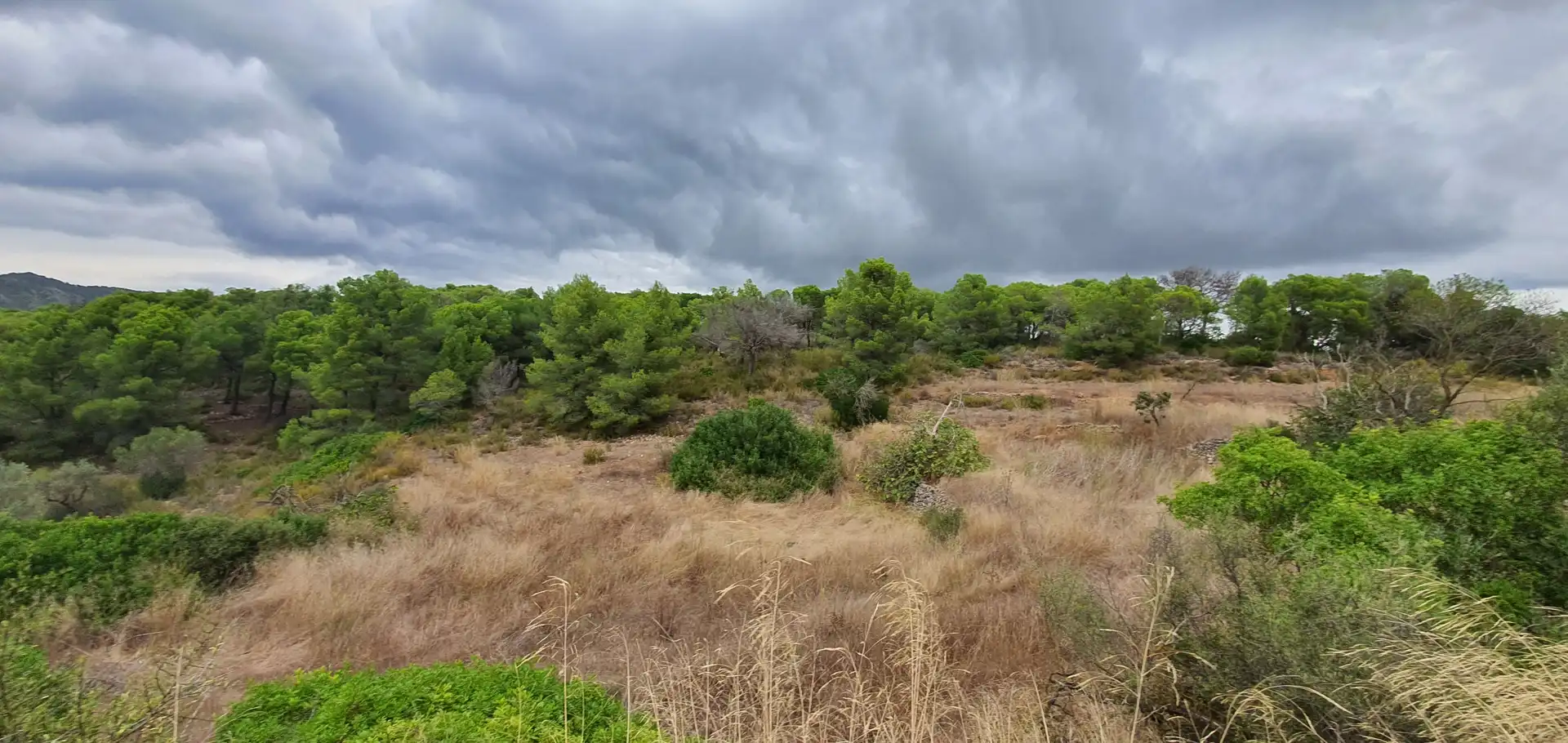 Rustikales Grundstück zum Verkauf in El Pinell de Brai, imagen 14