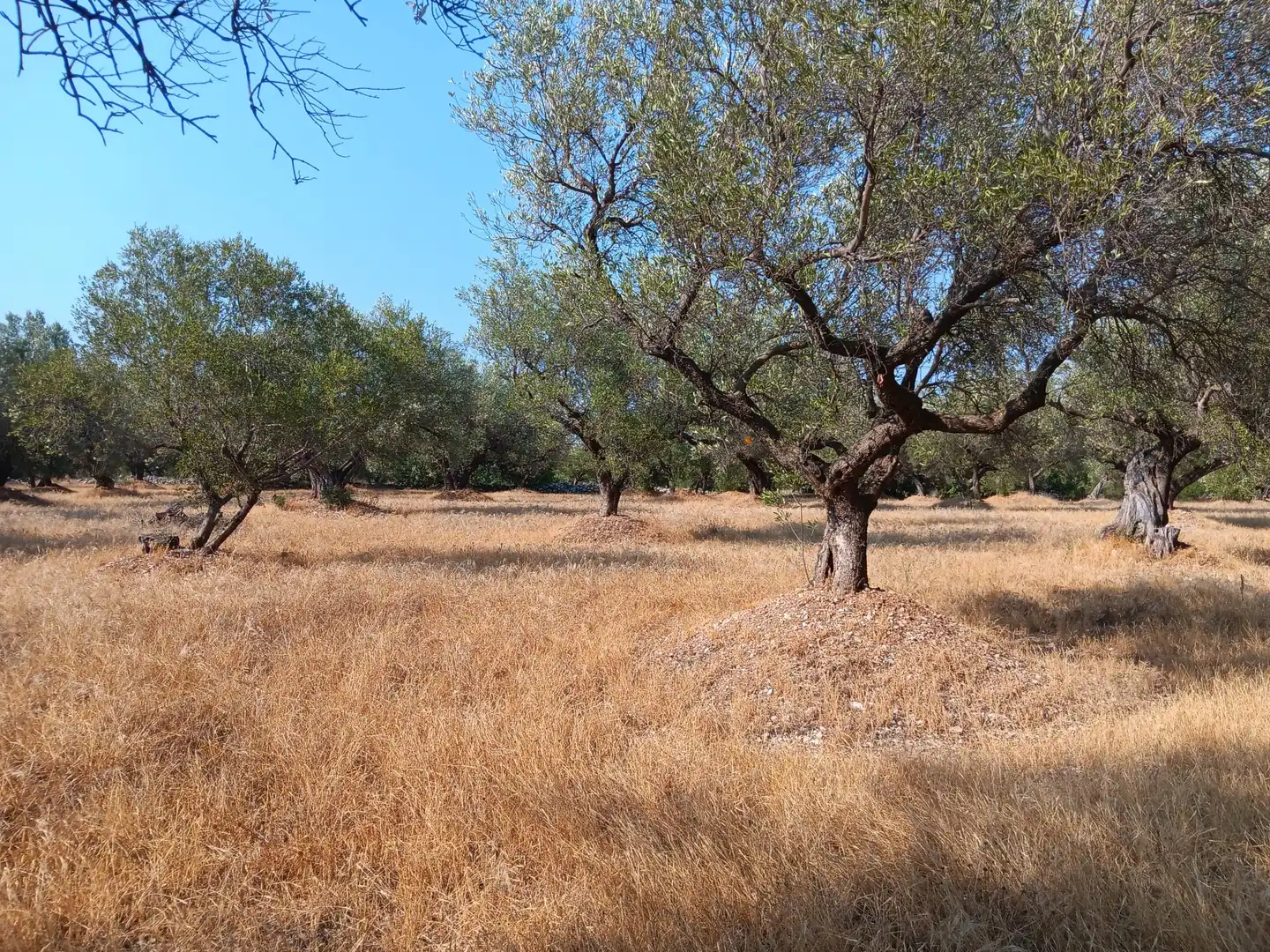 Residencial en venta en Tortosa