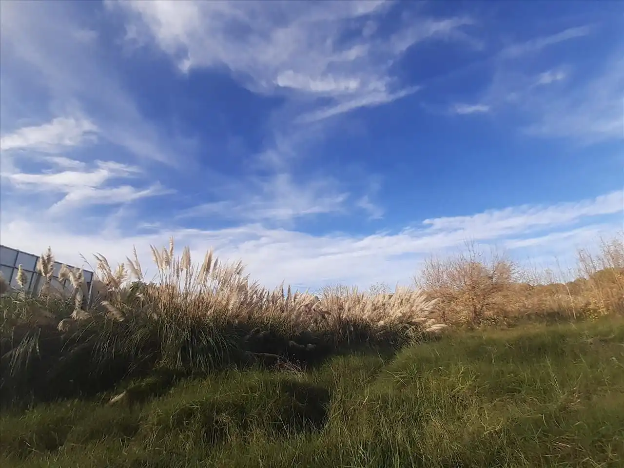 Terrenos y solares en venta en Bonavista, imagen 9