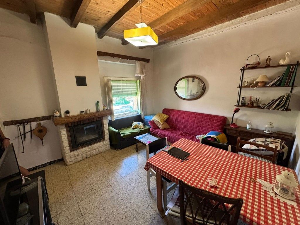 Living room of House or chalet for sale in Castrillo de Duero