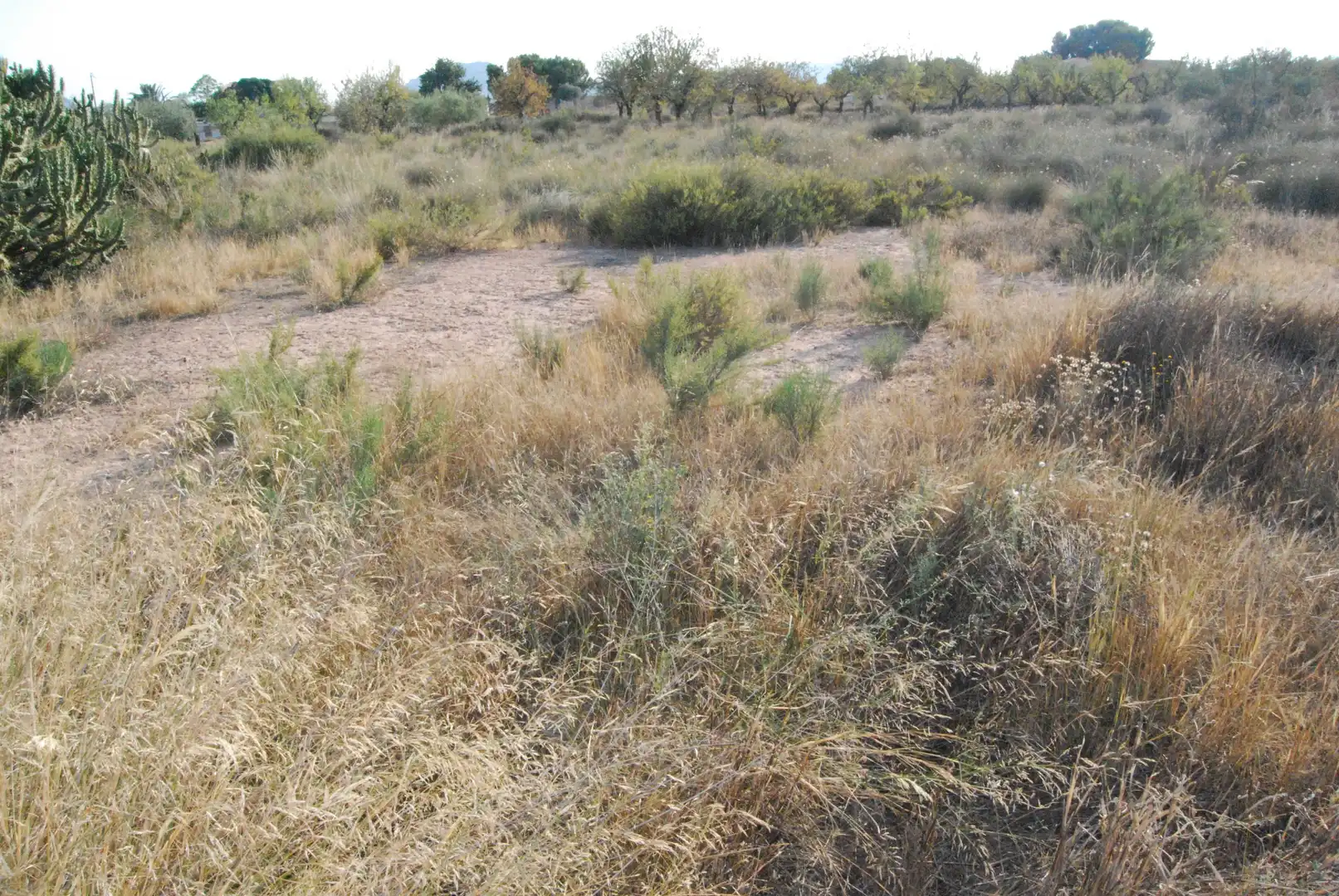 Rural land for sale in Villamontes - Boqueres, imagen 10