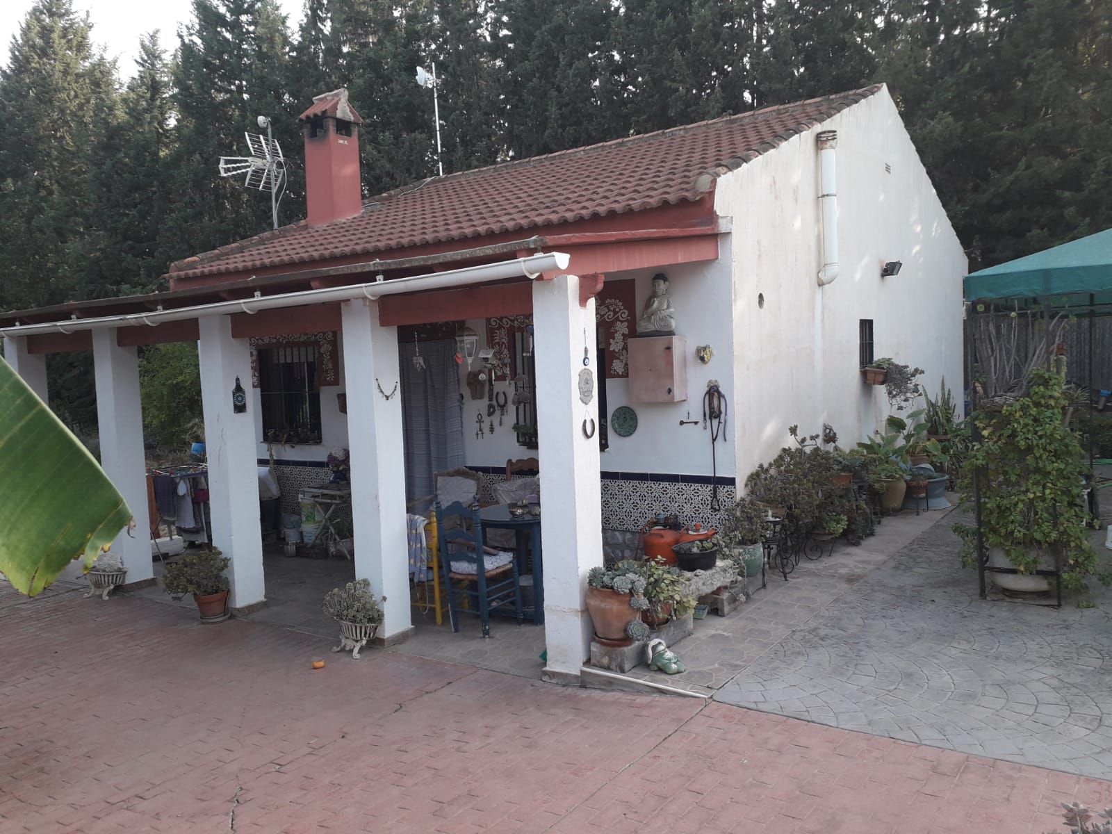 Exterior view of Country house for sale in Alhaurín El Grande  with Private garden, Swimming Pool and Furnished
