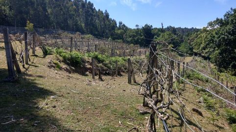 Foto 3 de Casa o chalet en venta en Noveledo, A Estrada , Pontevedra