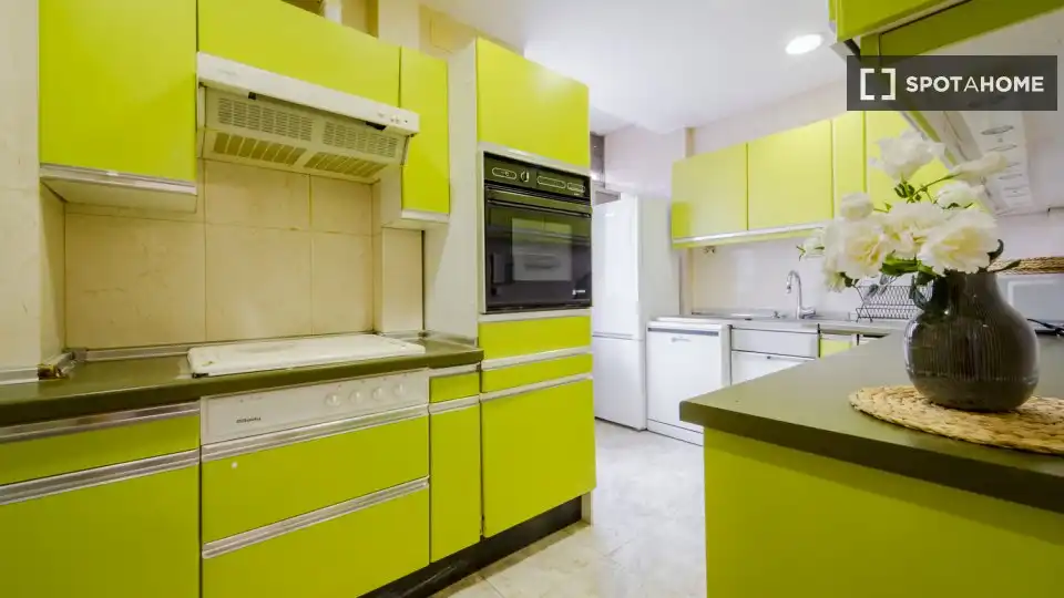 Kitchen of Flat for rent in Madrid  with Air Conditioner, Heating and Furnished