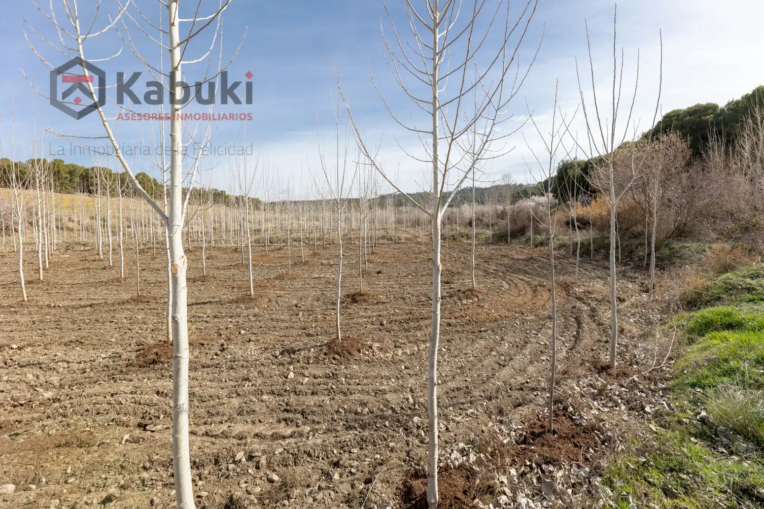 Terreni e lotti in vendita a Guadix - AUTE. VALLE DEL ZALABI, imagen 3