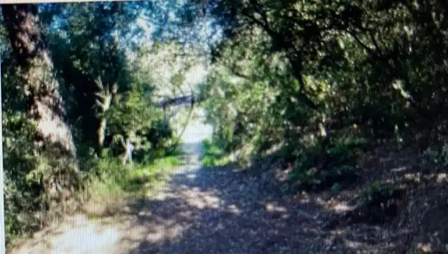 Rural land for sale in Arenys de Munt, imagen 10