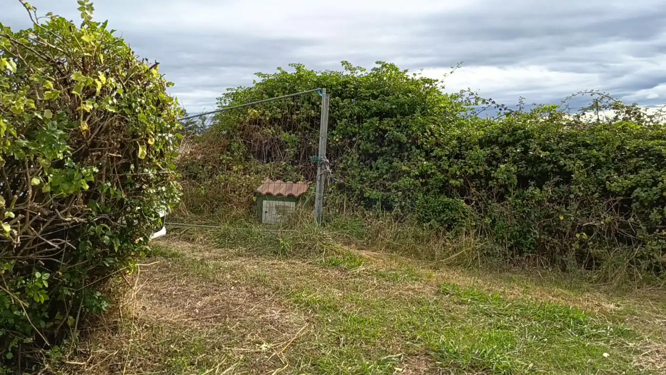 Terreno rustico in vendita a Calle Puerto, imagen 24