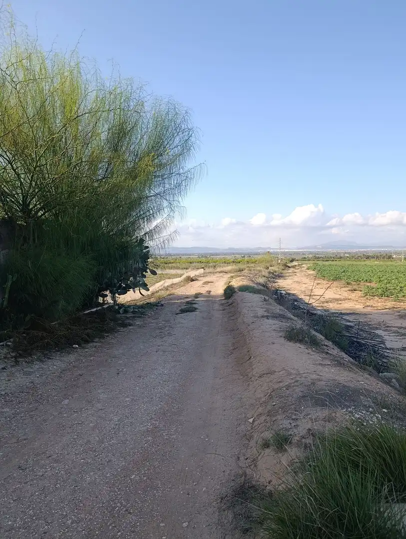 Terrain rustique à vendre à La Marina, imagen 27