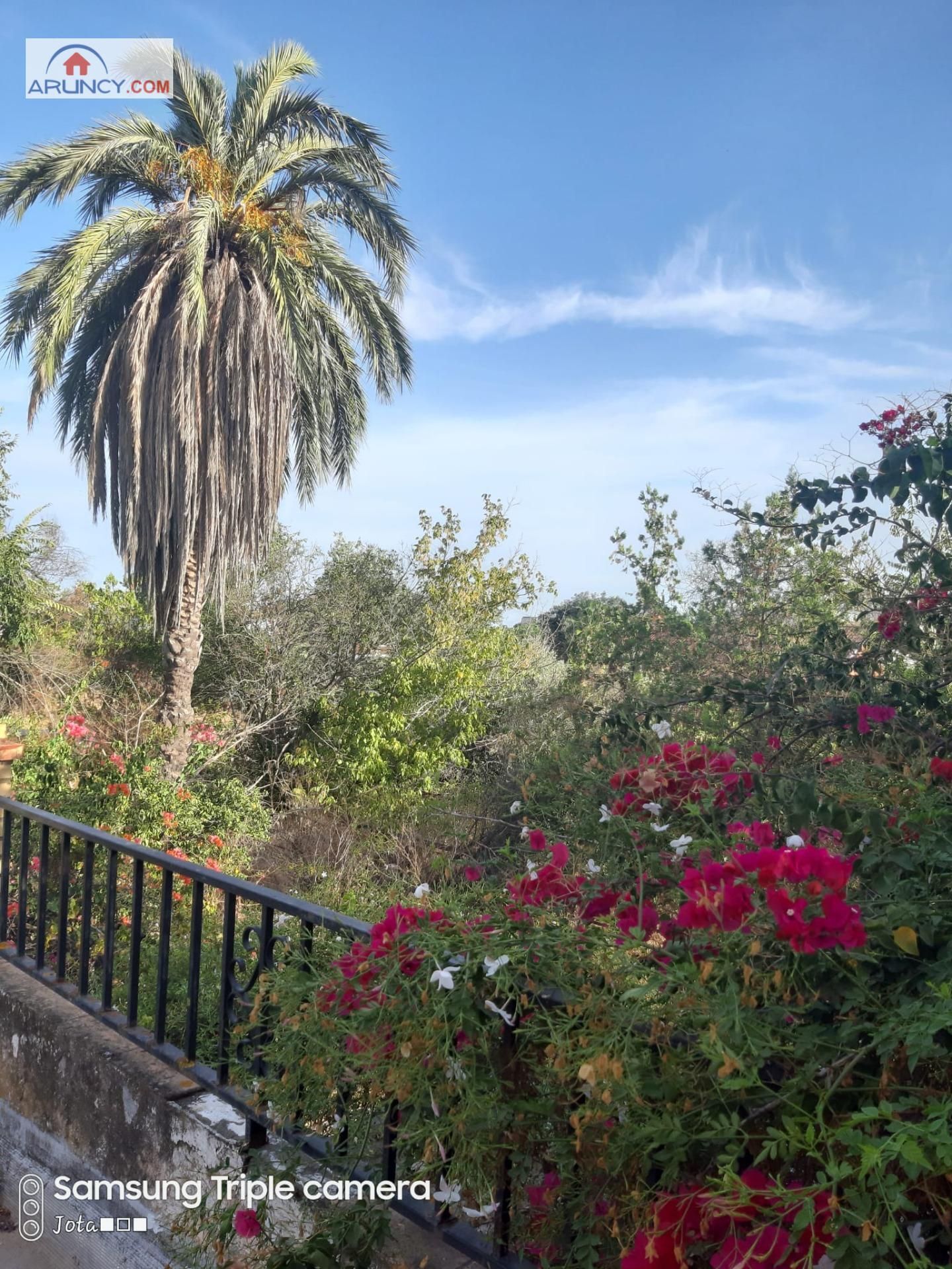 Garden of House or chalet for sale in Sanlúcar la Mayor  with Storage room and Swimming Pool