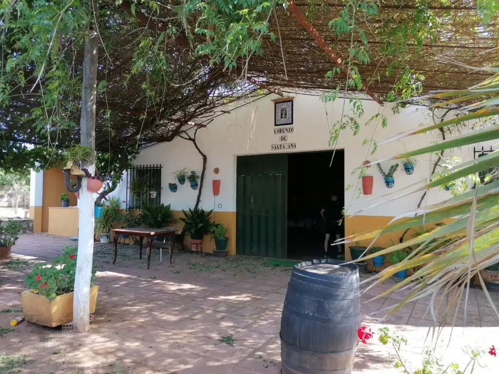 Casa rústica en venda a Arcos de la Frontera, imagen 6