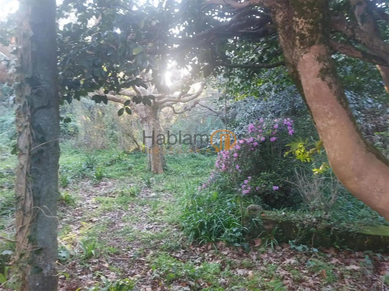 Casa o chalet en venta en Vilagarcía de Arousa con Calefacción, Jardín privado y Trastero