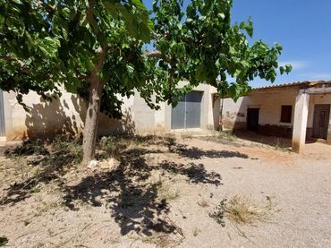 Casa rústica en venda a Eucaliptus- Poble Nou del Delta