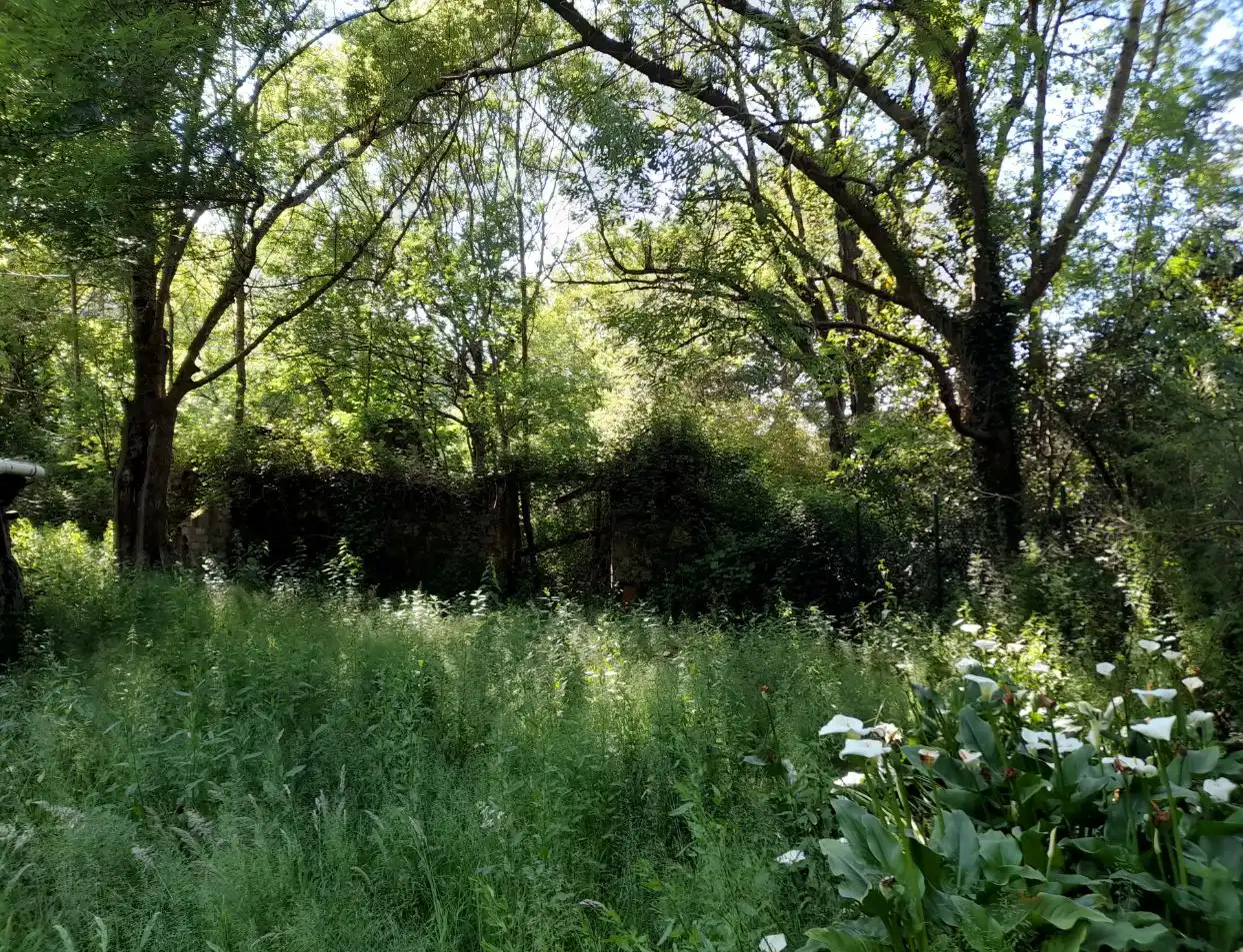 Finca rústica en venta en Lemoiz