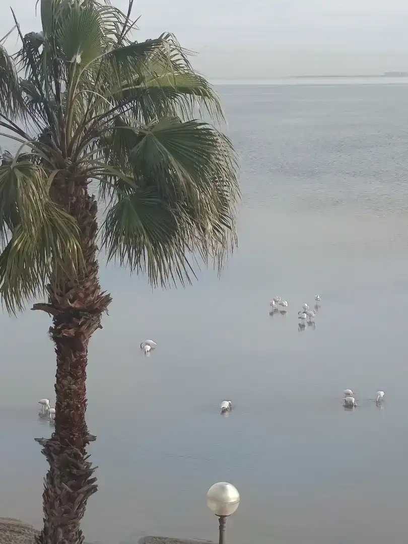 Vista exterior de Pis en venda en Cartagena amb Aire condicionat i Balcó