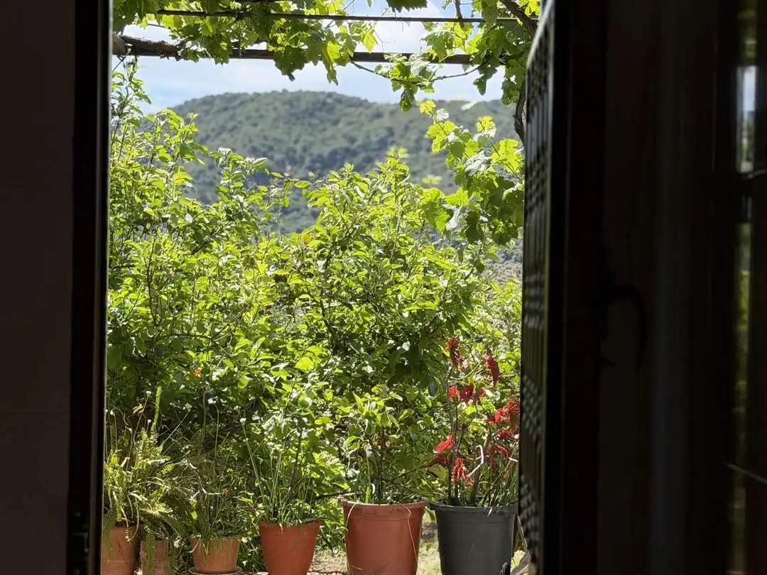 Terraza de Casa o chalet en venta en Alfarnatejo