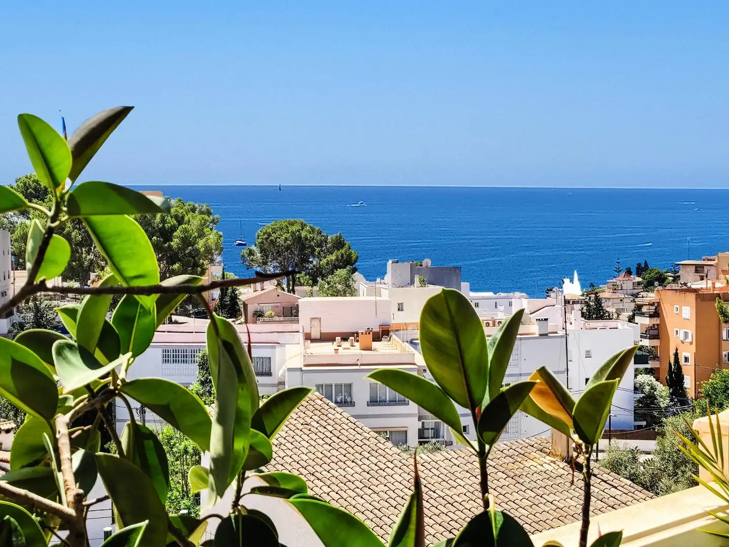 Vista exterior de Casa o xalet en venda en  Palma de Mallorca amb Aire condicionat, Jardí privat i Terrassa