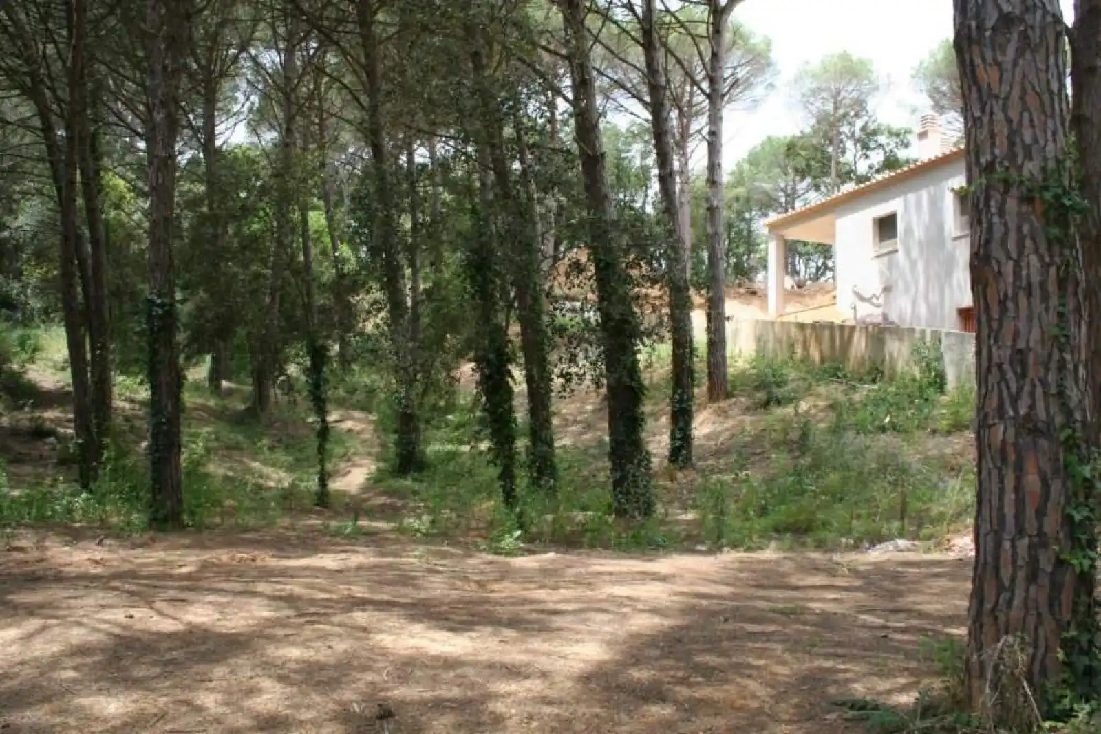 Terreny residencial en venda a Avinguda la Manxa 94