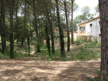 Terreno residenziale in vendita a Avinguda la Manxa 94