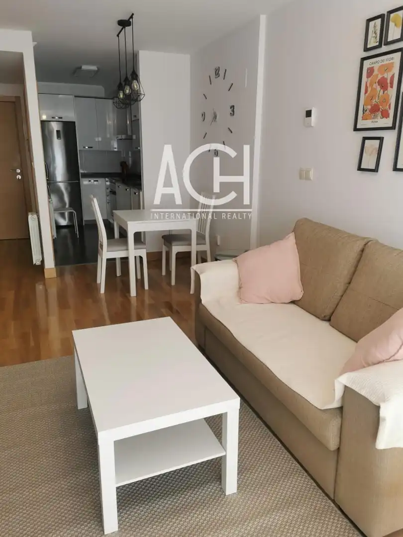 Sala de estar de Piso de alquiler en Bilbao  con Calefacción
