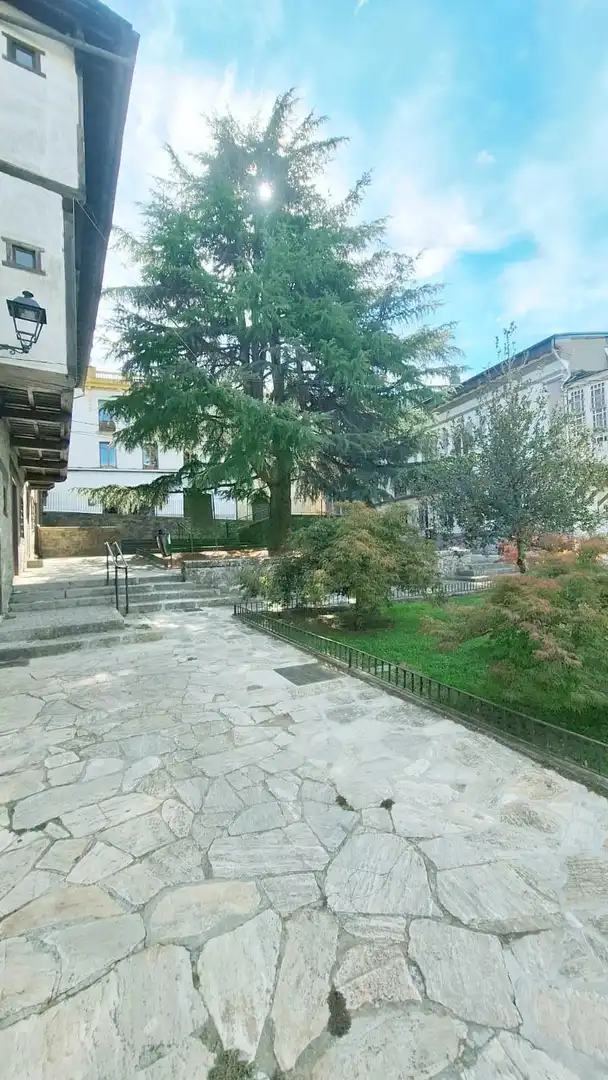 Jardí de Pis en venda en Villafranca del Bierzo, León