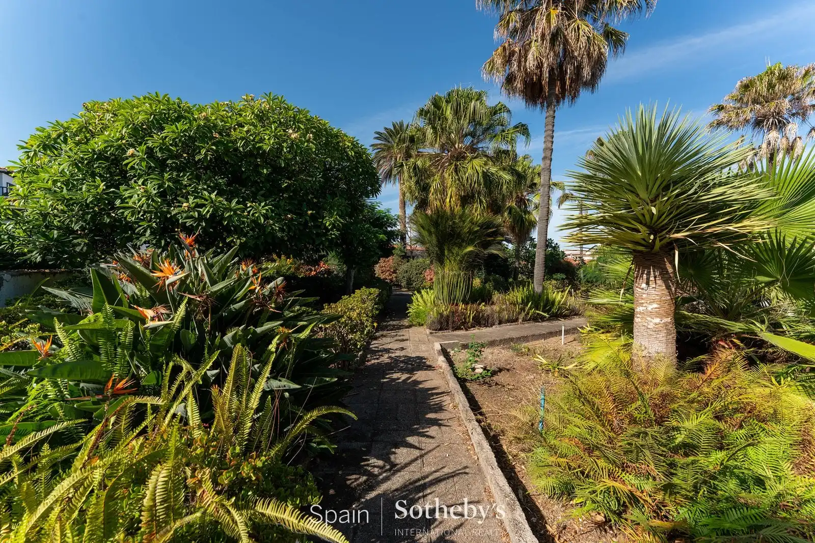 Casa con jardín en venta en Zona Botánico, imagen 17
