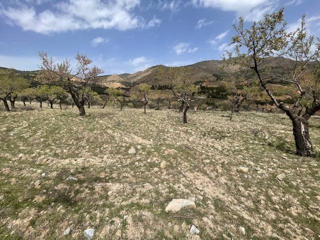 Terreno en Venta en Benitagla