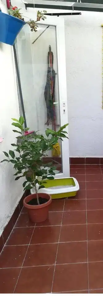 Piso con terraza en venta en Calle Pocito, imagen 30