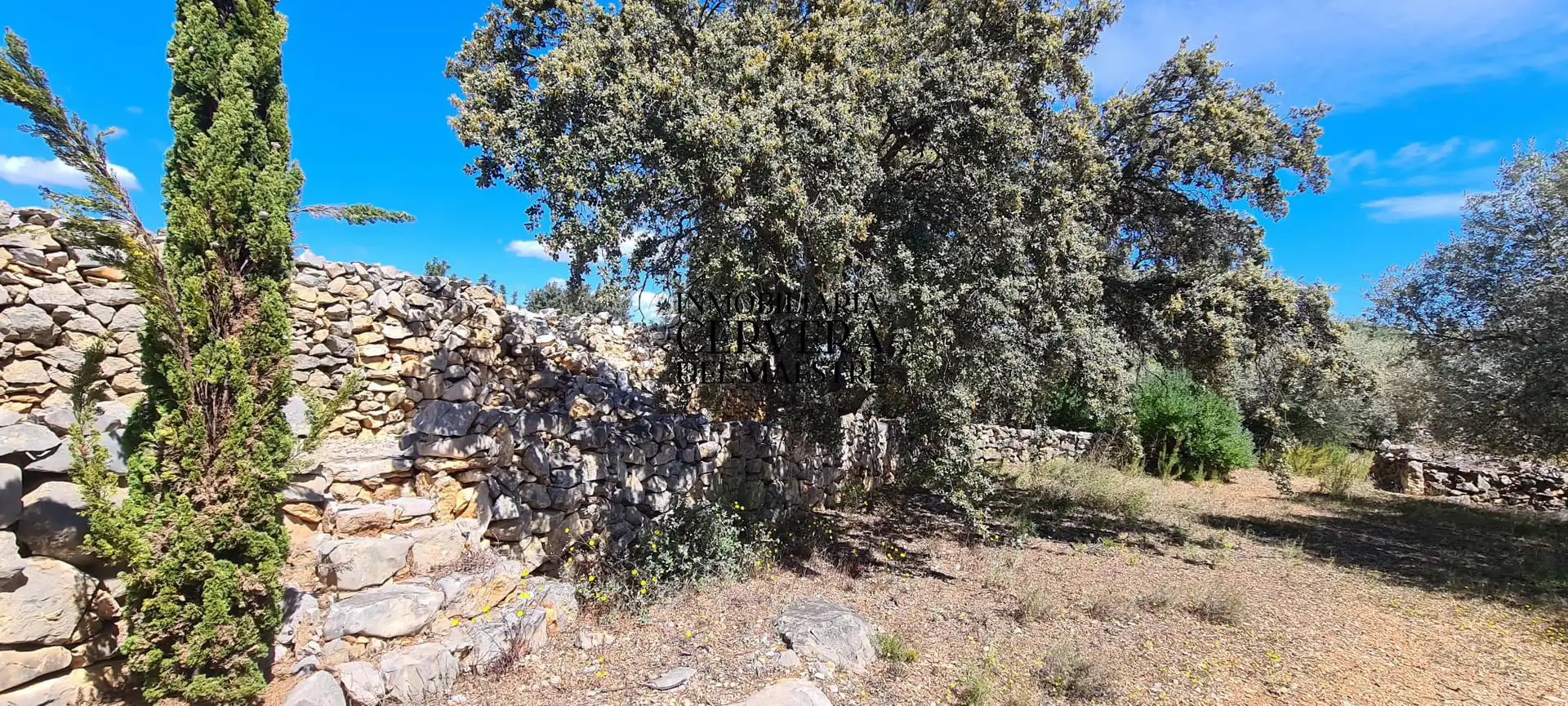 Terreno rustico in vendita a Cervera del Maestre, imagen 30