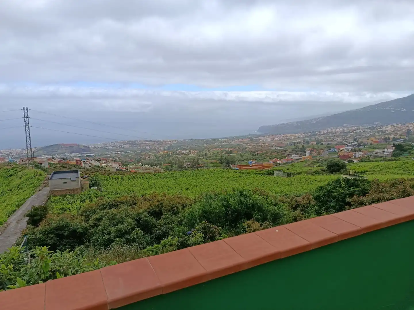 Exterior view of Houses for sale in La Orotava  with Furnished, Oven and Washing machine