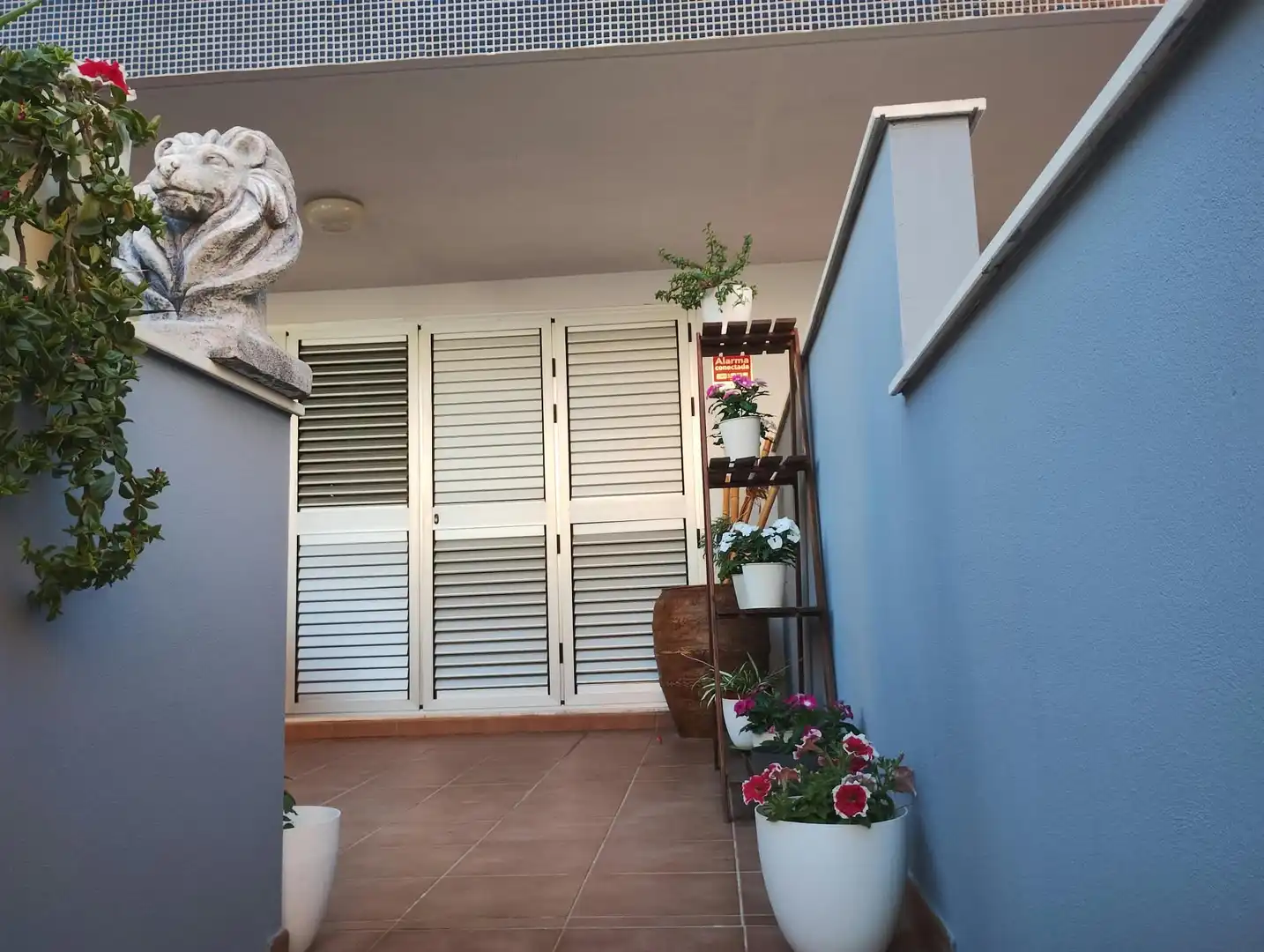 Terrassa de Planta baixa de lloguer en Moncofa