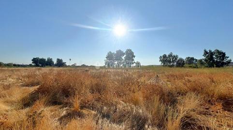 Photo 3 of Land for sale in Valdepasillas - La Paz - Huerta Rosales, Badajoz