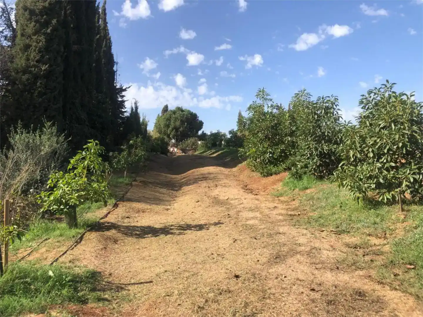 Casa o xalet en venda en El Romeral - Peñón de Zapata