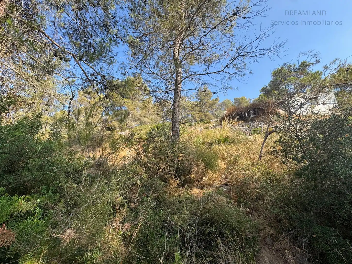 Residencial en venda en Olivella