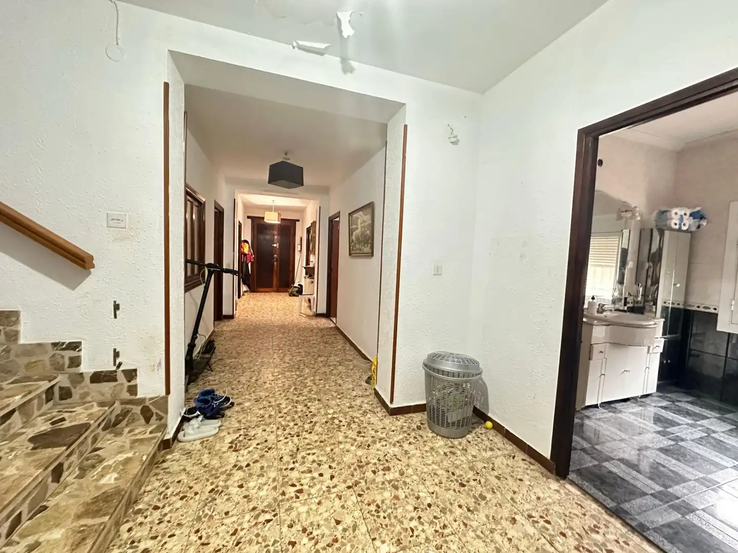 Detached homes for sale in Miguel Esteban