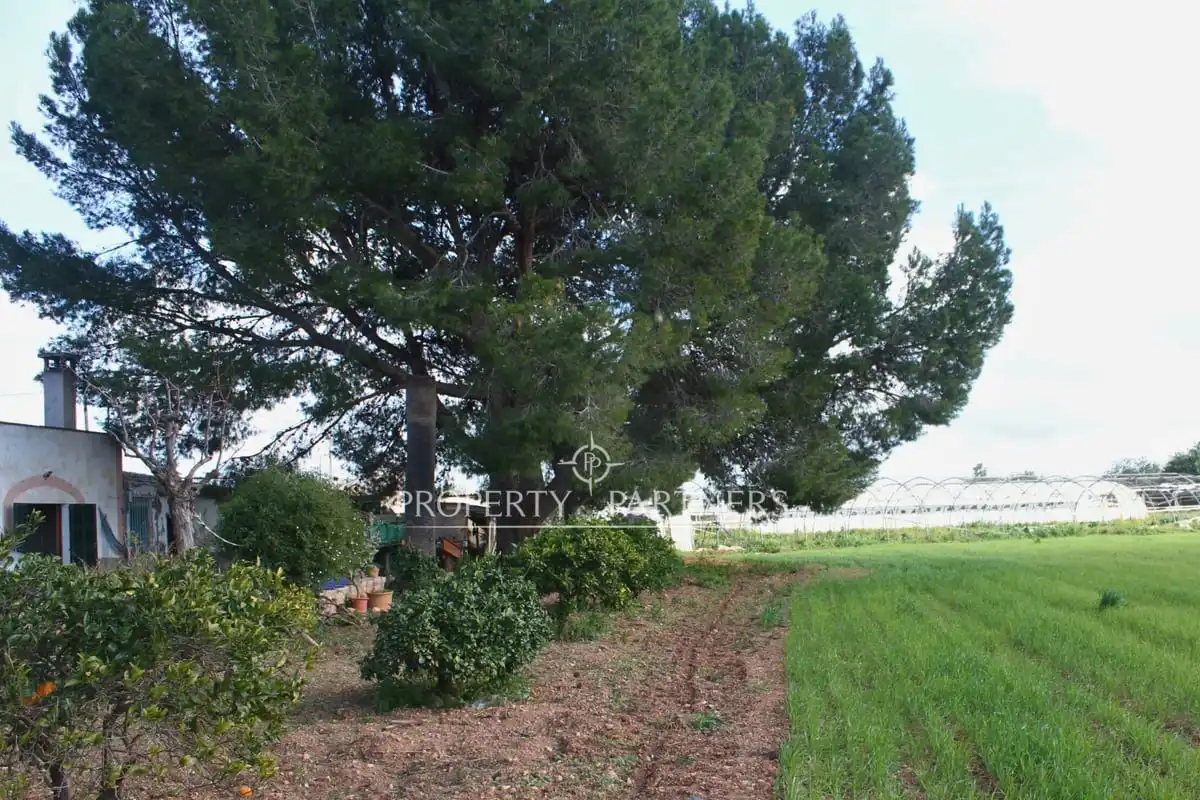Xalet amb jardí en venda a Son Nebot, imagen 13