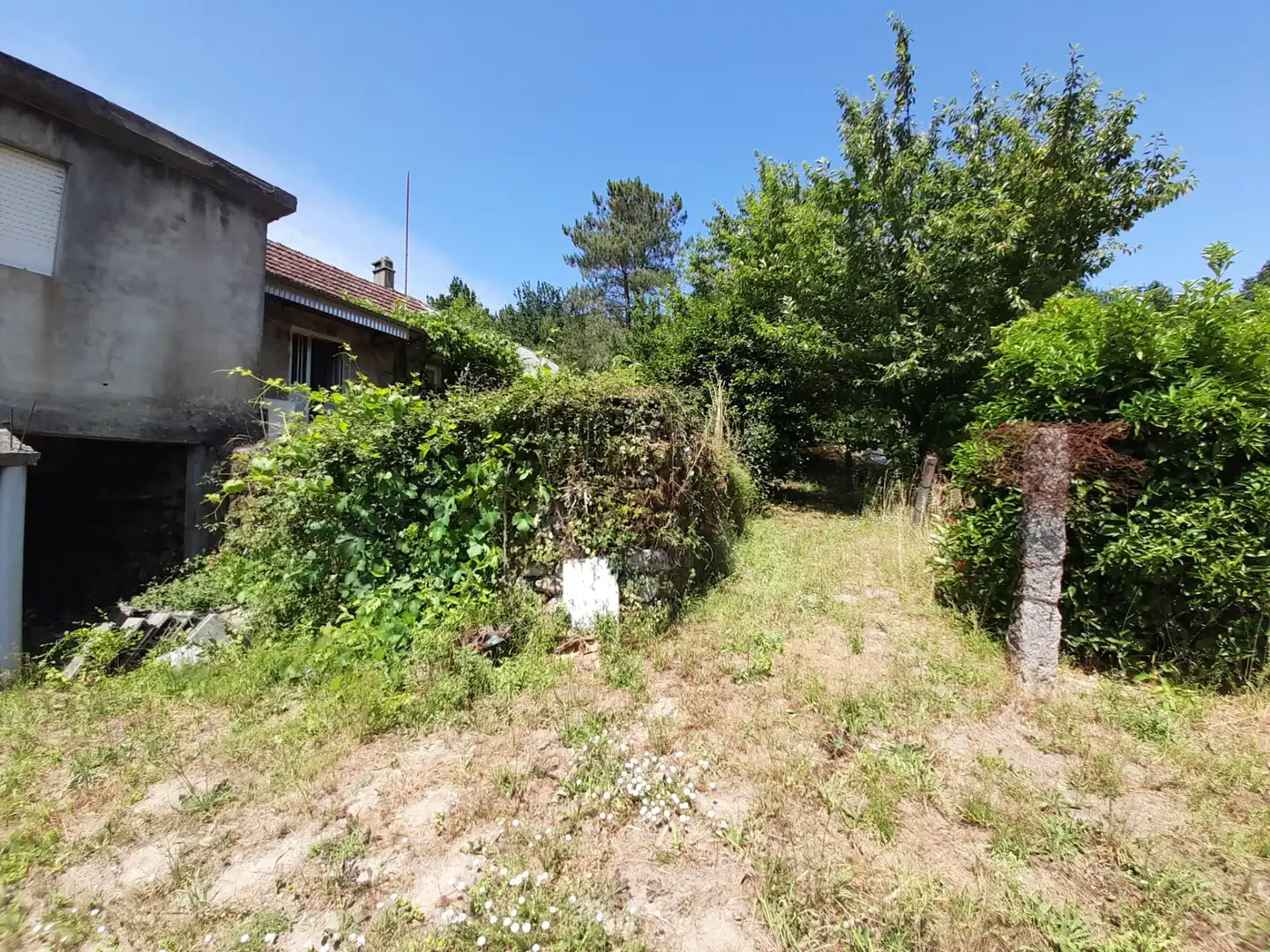 Casa amb jardí en venda a Covelo, imagen 6