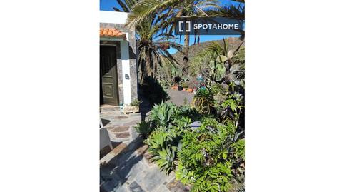 Photo 5 of Apartment to share in Vallehermoso, Santa Cruz de Tenerife